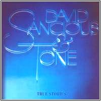 David Sancious -- True Stories